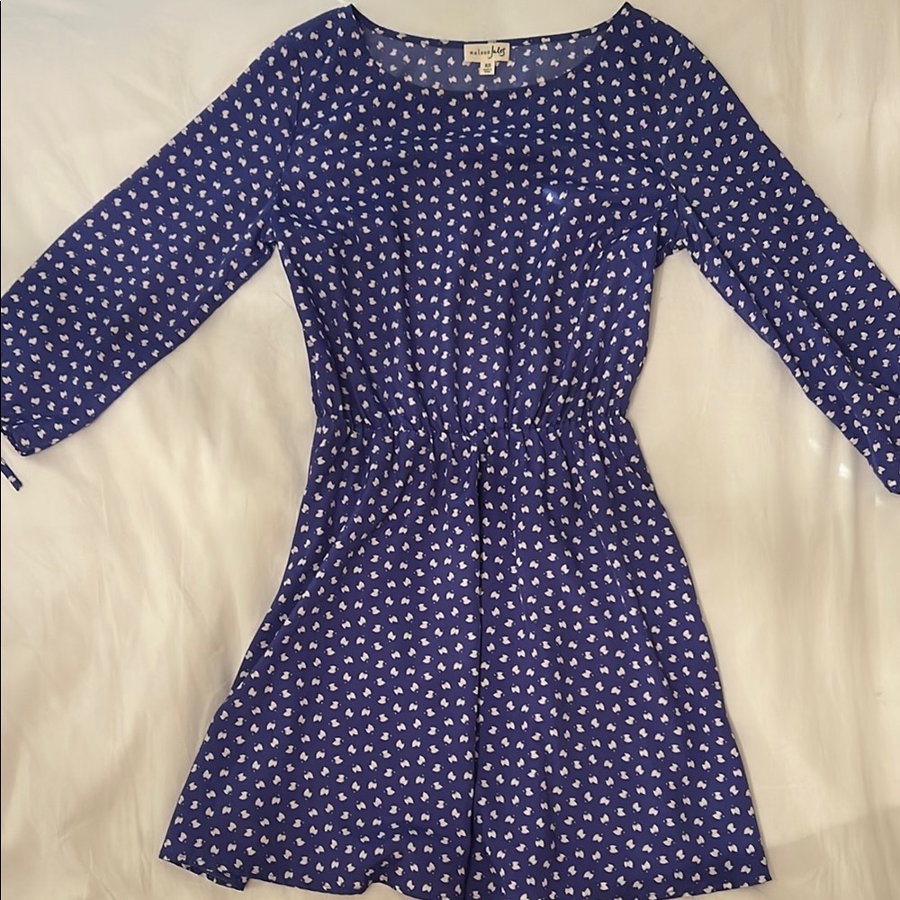 Blue and White Dress